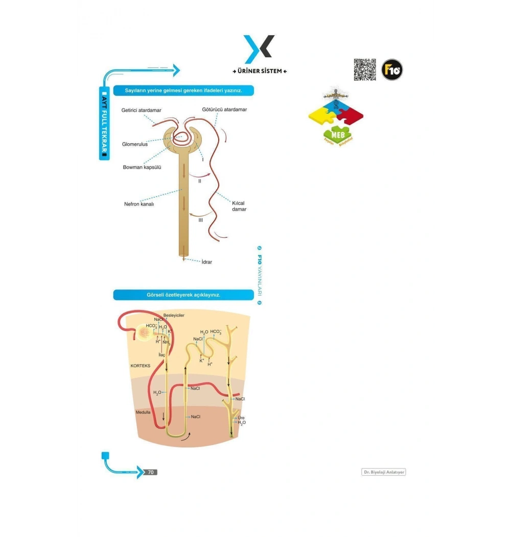 F10 Ayt Biyoloji Full Tekrar Dr.Biyoloji Anlatıyor