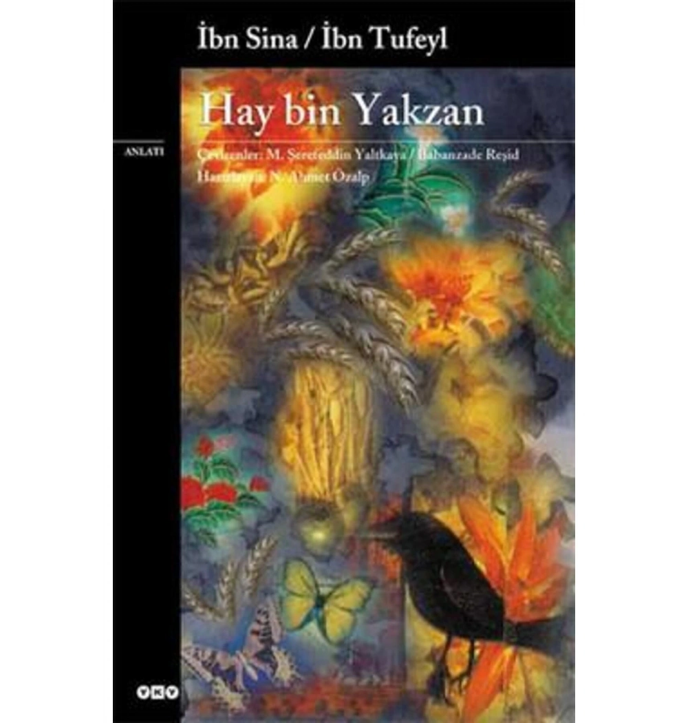 Hay Bin Yakzan İbn Sina İbn Tufeyl Yapı Kredi