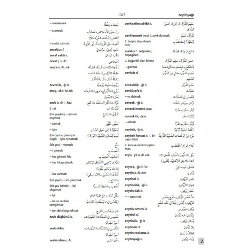 Türkçe Arapça Kapsamlı Sözlük Emrullah İşler Akdem