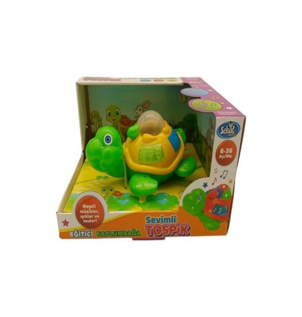 Pilli Işıklı Kutulu Sevimli Kaplumbağa