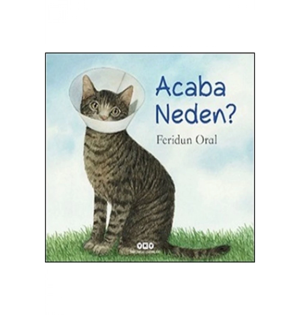 Acaba Neden Feridun Oral Yapı Kredi