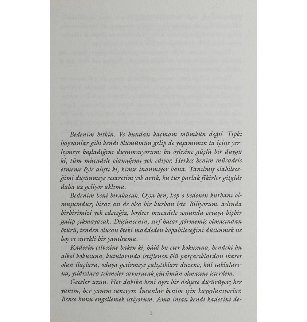 Aşk Ve Acı Frida Kahlo Everest