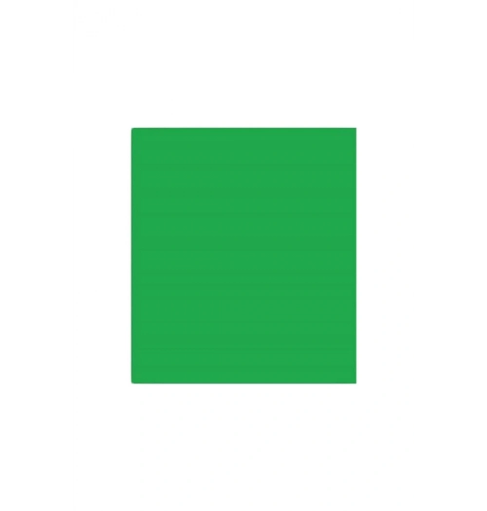 Alex Schoeller Kolej Fon Kartonu 160 Gr 50X70 Yeşi̇L No:1054