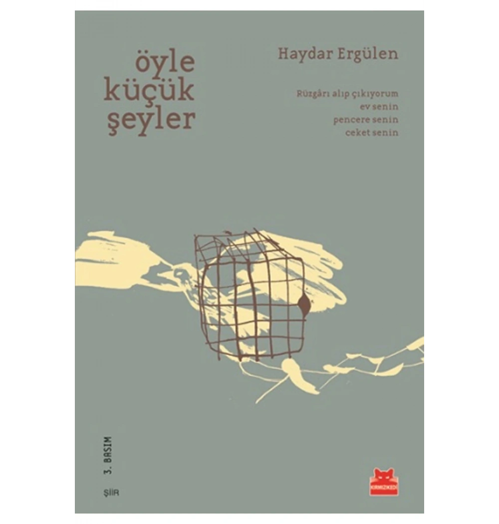 Öyle Küçük Şeyler Haydar Ergülen Kırmızı Kedi