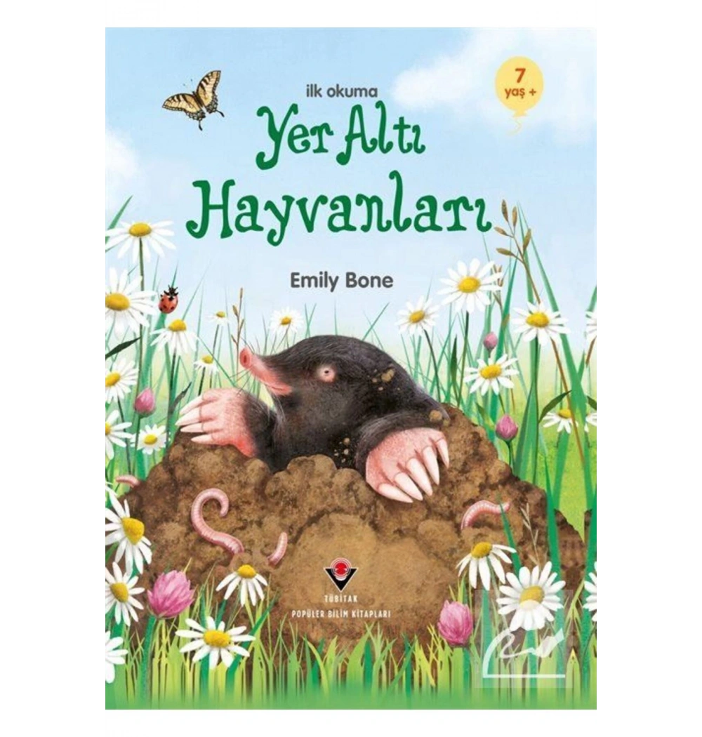 İlkokuma Yer Altı Hayvanları  Tübitak