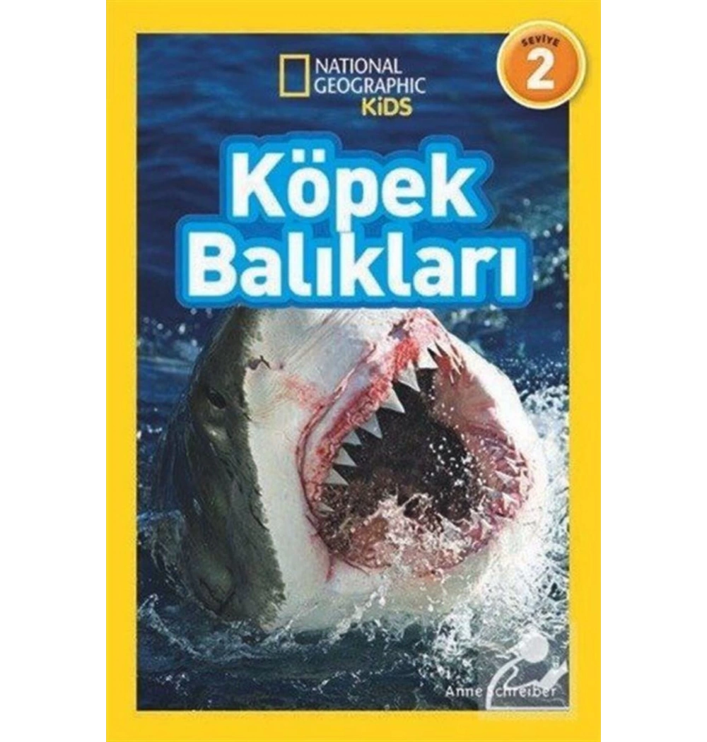 Köpek Balıkları Beta Kıds