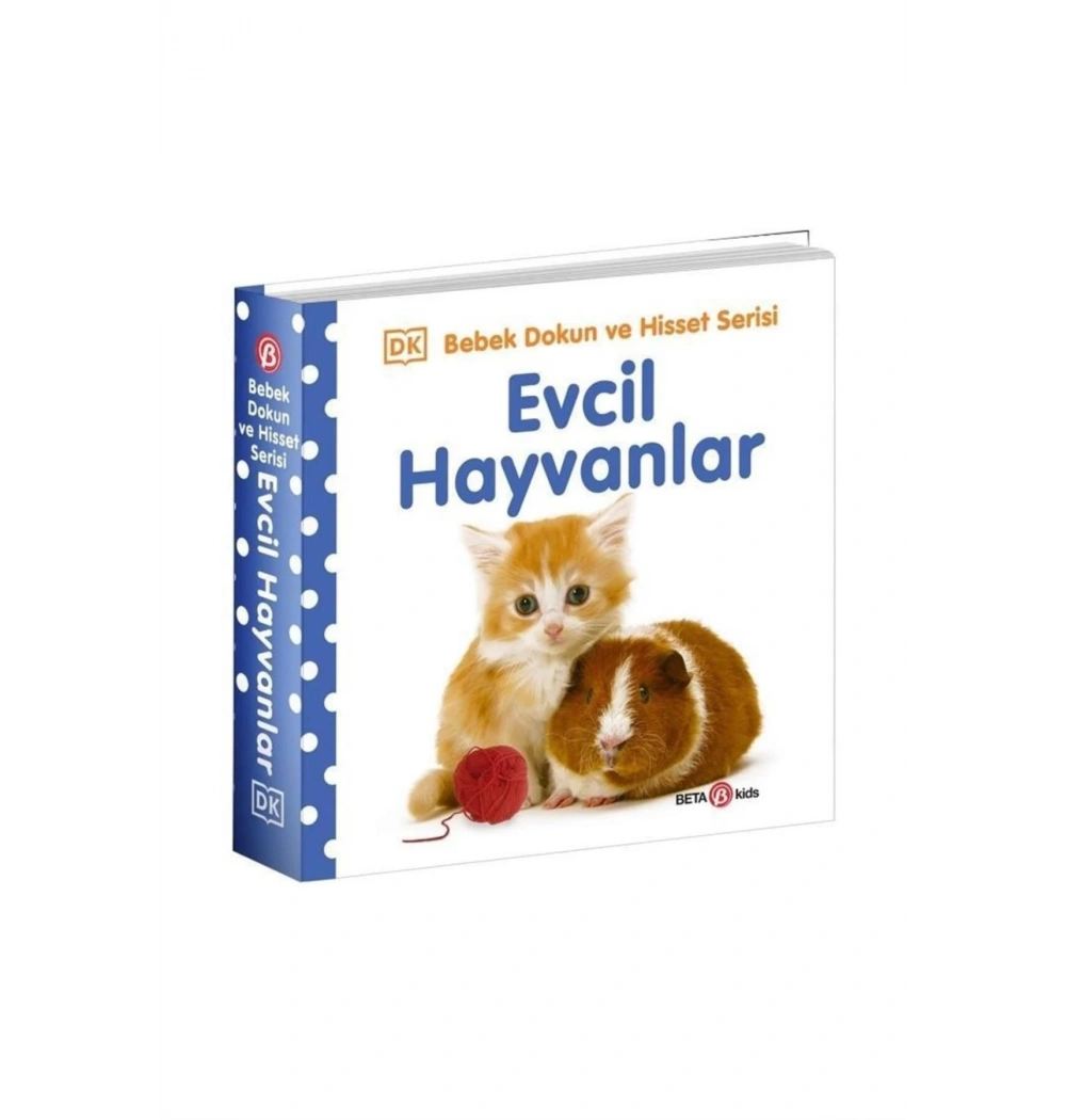 Evcil Hayvanlar  Beta Kids