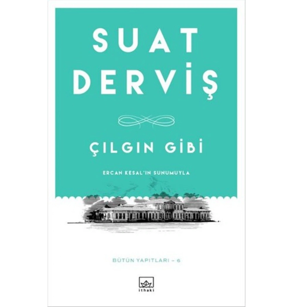 Çılgın Gibi Suat Derviş İthaki