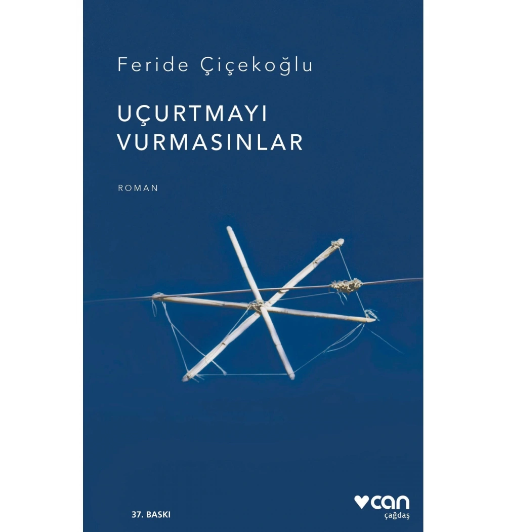 Uçurtmayı Vurmasınlar  Feride Çiçekoğlu  Can Yayın