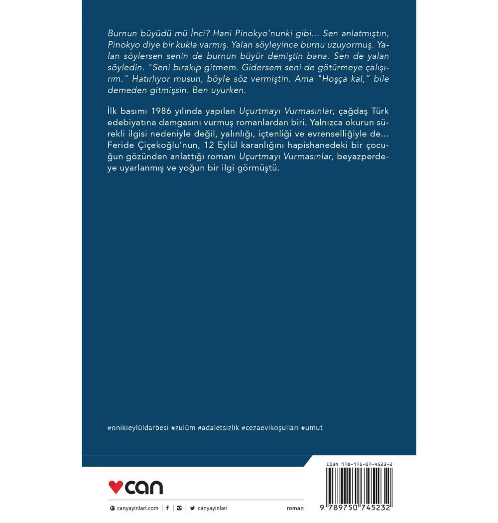 Uçurtmayı Vurmasınlar  Feride Çiçekoğlu  Can Yayın