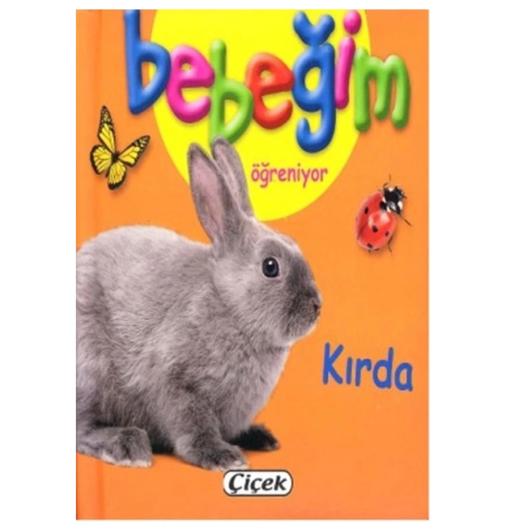 Bebeğim Öğreniyor Kırda Çiçek Yayın