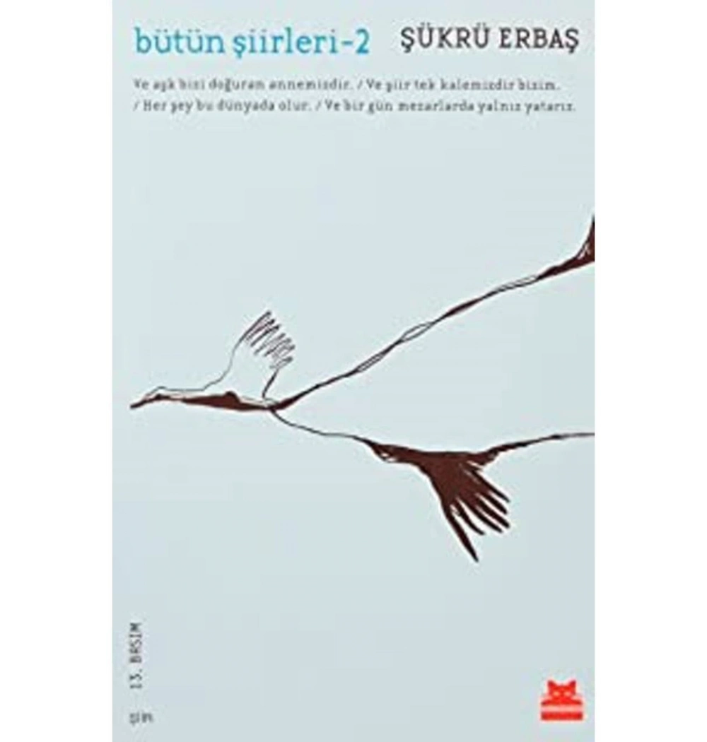 Bütün Şiirleri  2  Şükrü Erbaş  Kırmızı Kedi