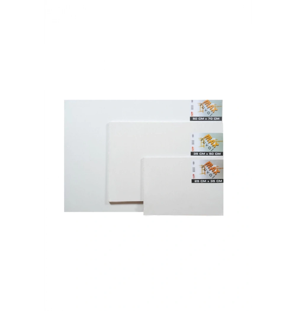 Max Profesyonel Tuval 35X50