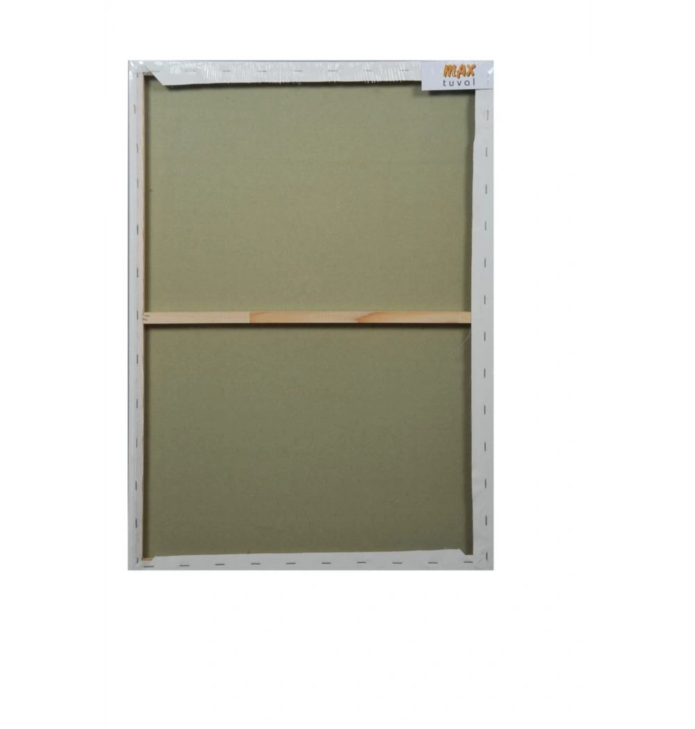 Max Profesyonel Tuval 35X50