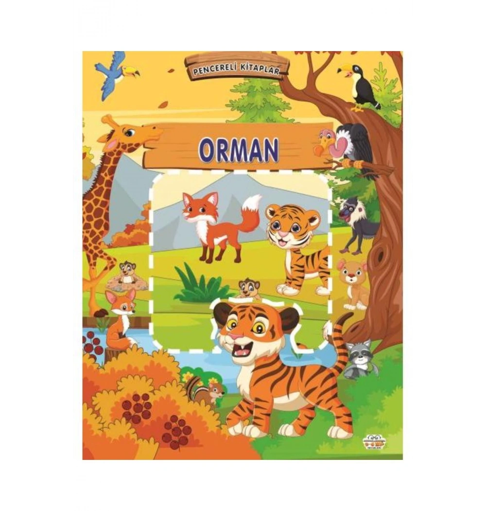 Pencereli Kitaplar Orman Parıltı