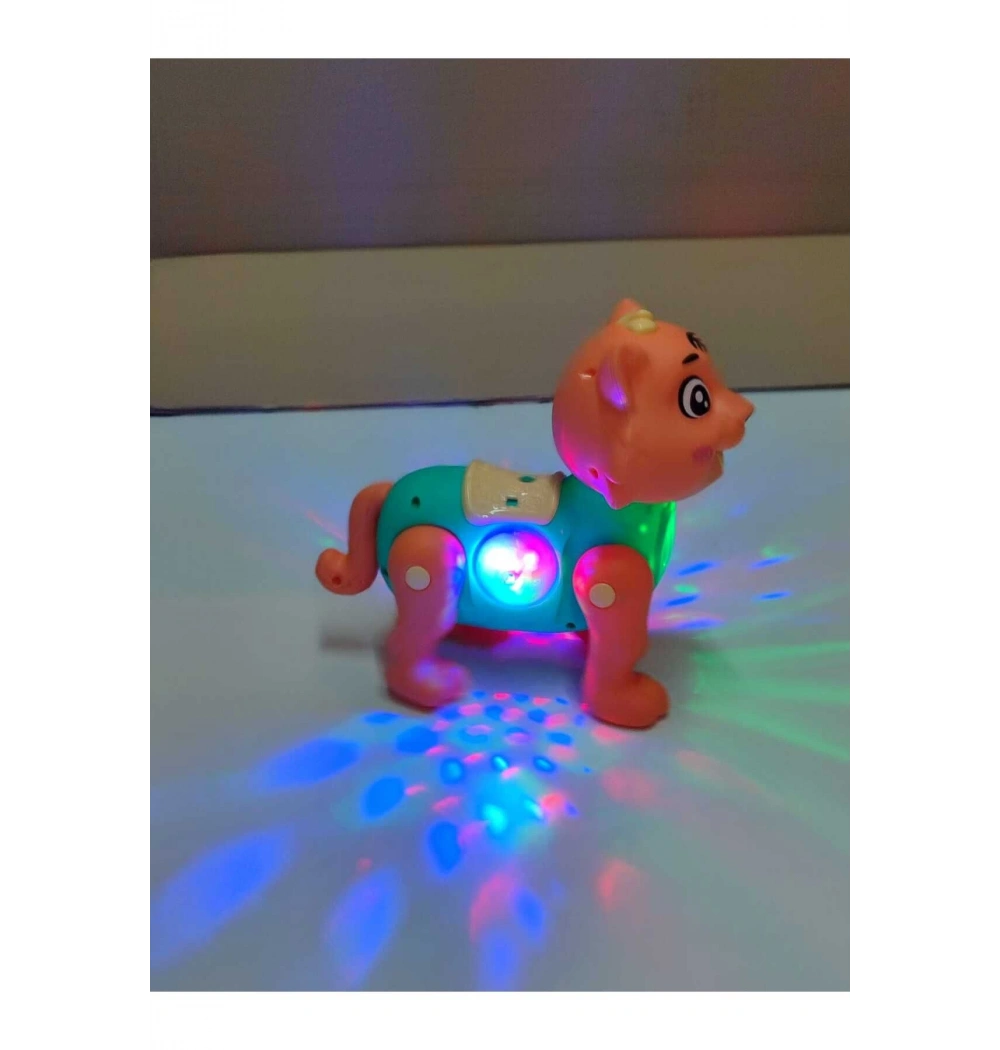 Kutulu Pilli Işıklı Sesli Yürüyen Kedi 788-4A