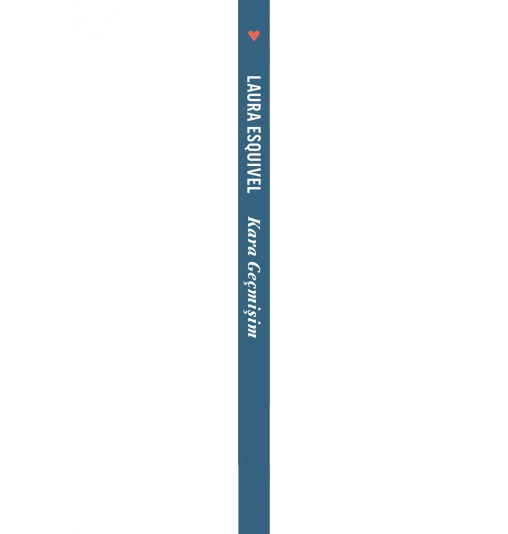 Kara Geçmişim Acı Çikolata 3  Laura Esouıvel  Can Yayın