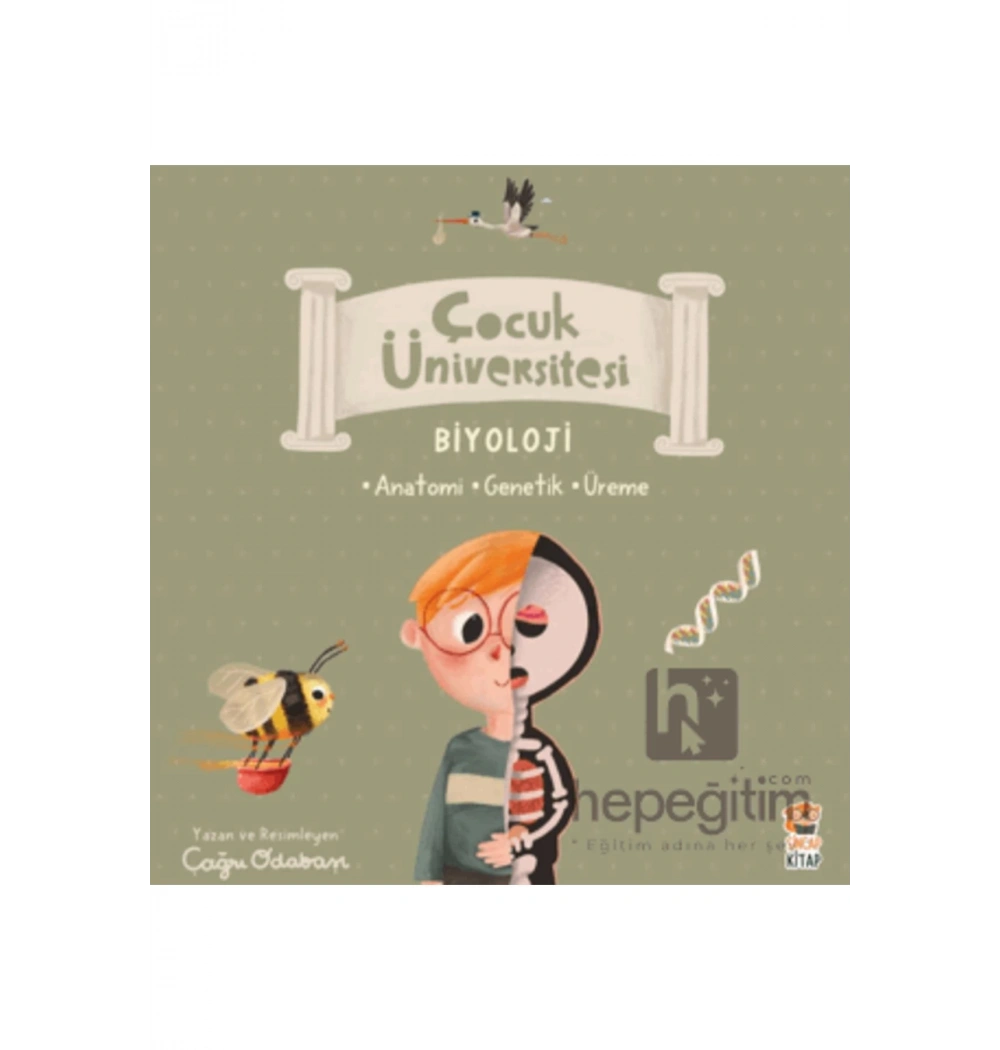 Çocuk Üniversitesi Biyoloji 3 Kitap Set  Sincap Kitap