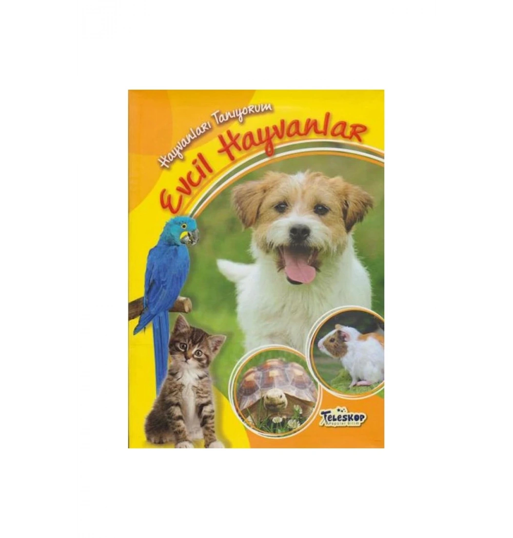 Evcil Hayvanlar   Teleskop