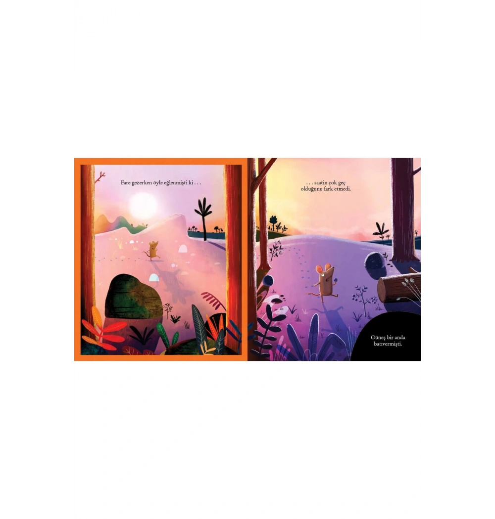 Ben Karanlıktan Hiç Korkmam  Domingo