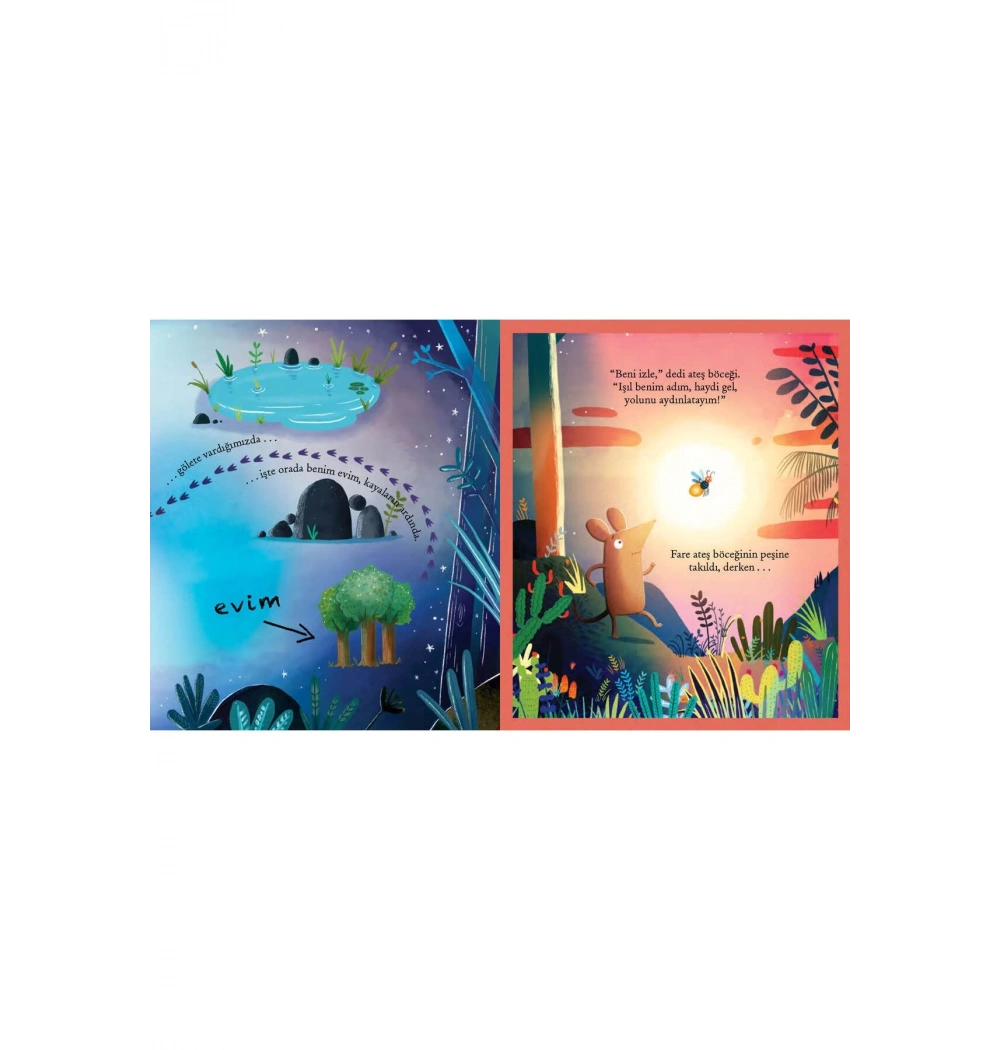 Ben Karanlıktan Hiç Korkmam  Domingo