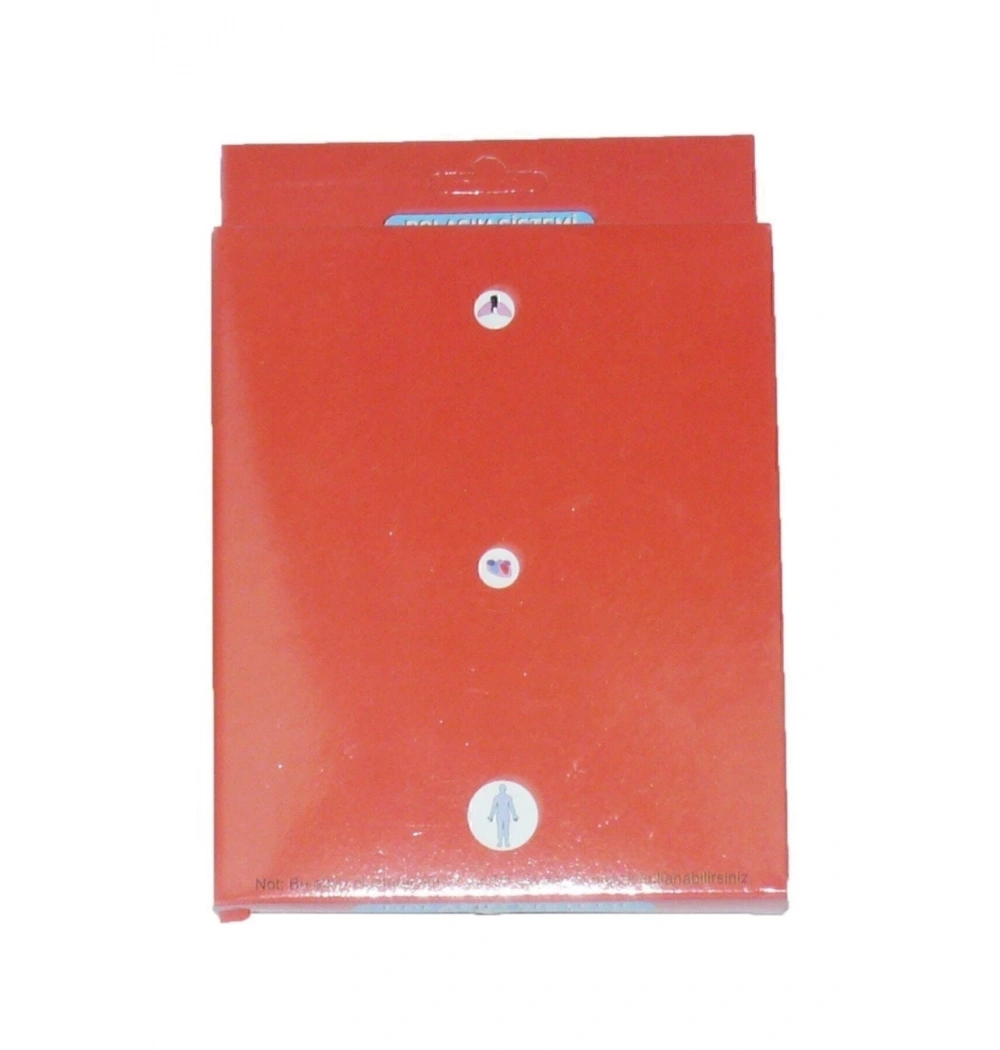 Kar Dolaşım Sistemi Modeli