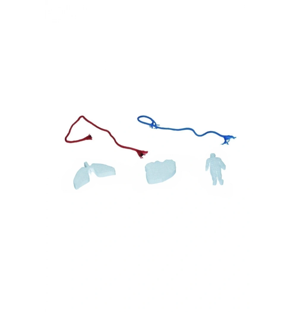 Kar Dolaşım Sistemi Modeli