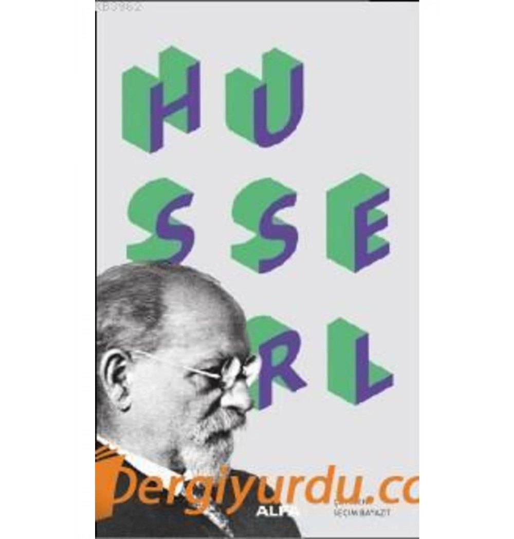 Husserl David Woodruff Smith Alfa Basım