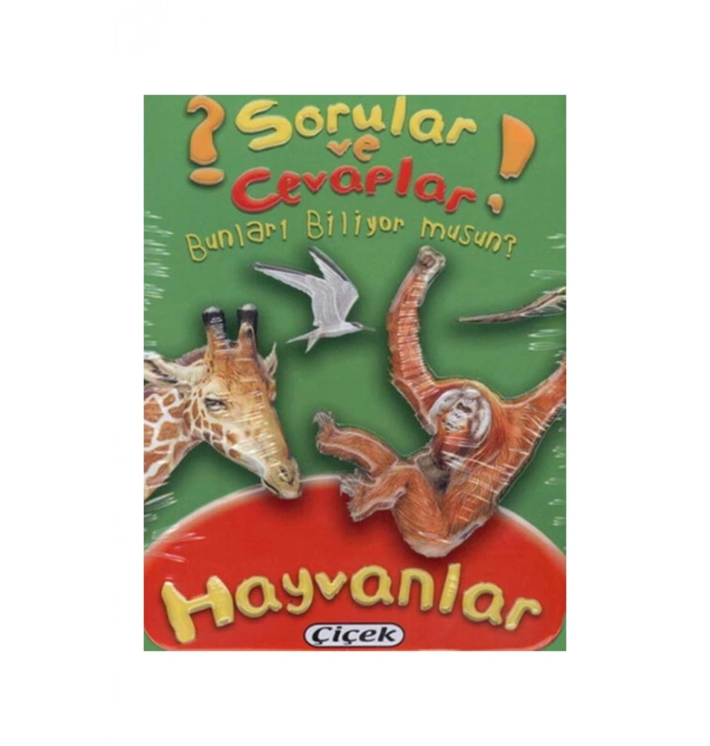 Sorular Ve Cevaplar Hayvanlar  Teneke Kutulu  Çiçek Yayın