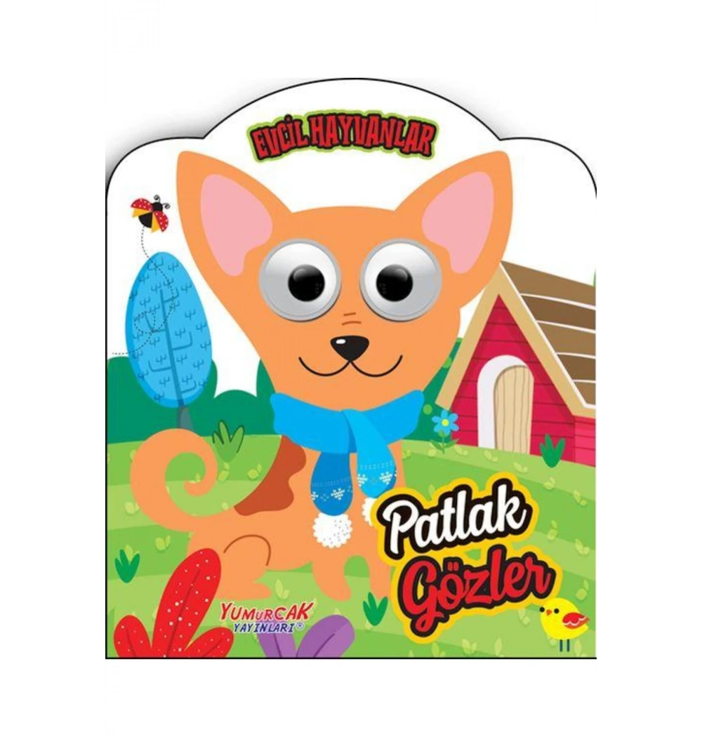 Patlak Gözler Evcil Hayvanlar  Yumurcak