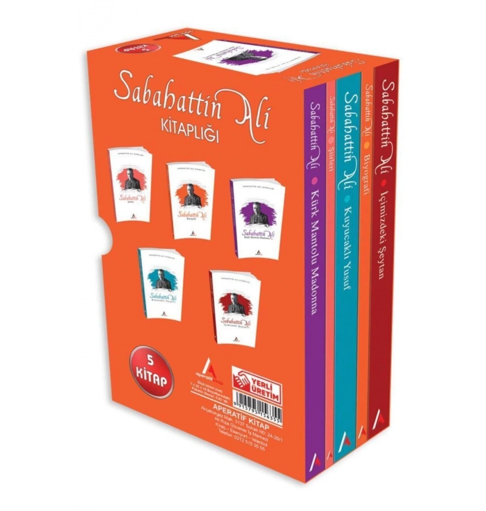 Sabahattin Ali Kitaplığı 5 Kitap Set Mavi Çatı