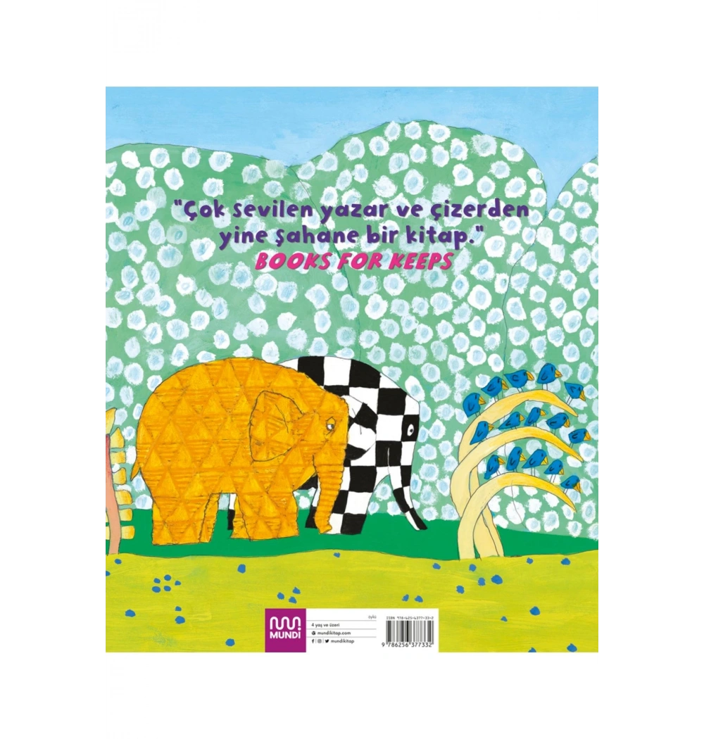 Elmer Ve Gül Mundi Yayın