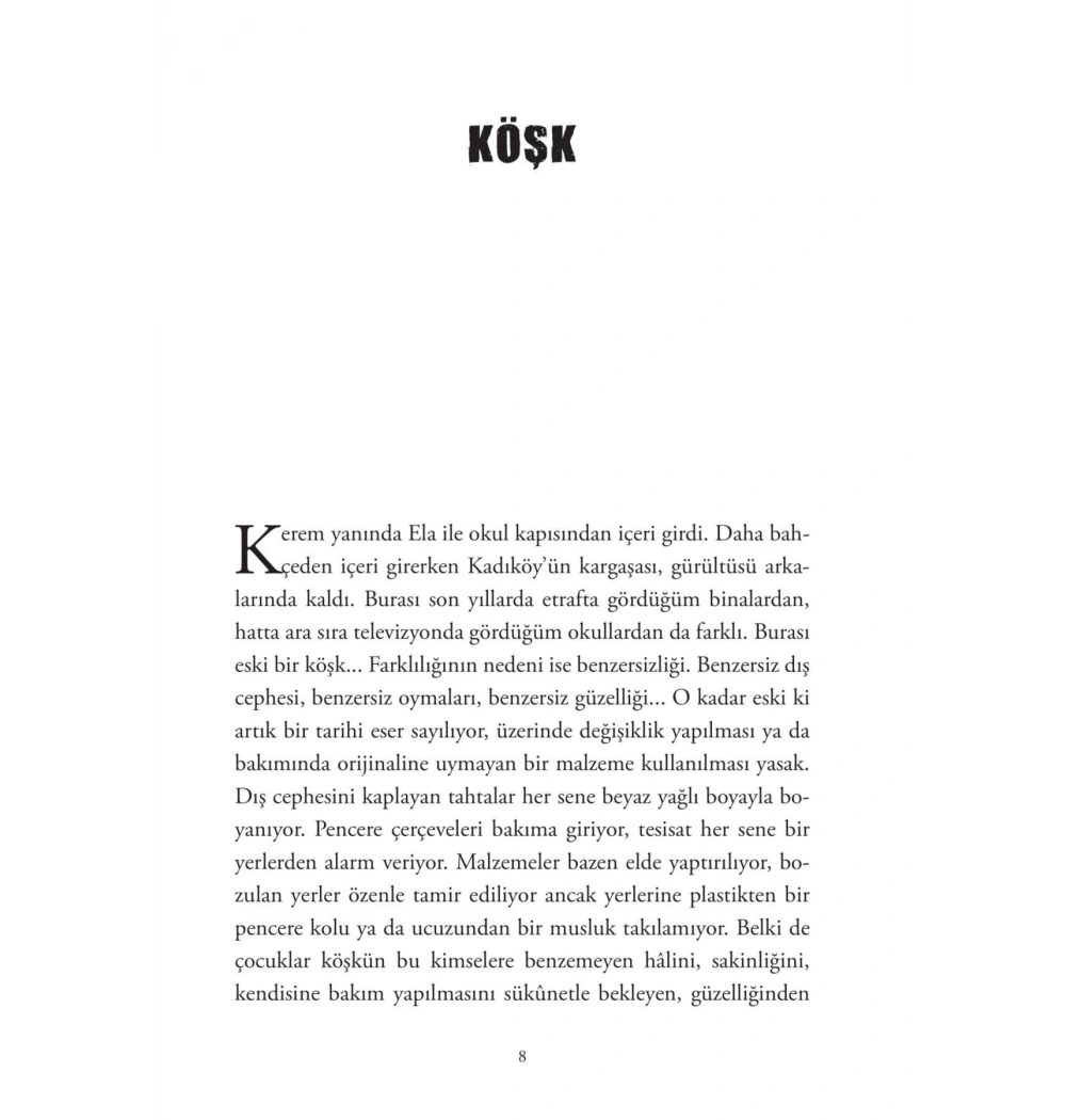 Dünyada Bir Başına Birsen Ekim Özen Xlıbrıs