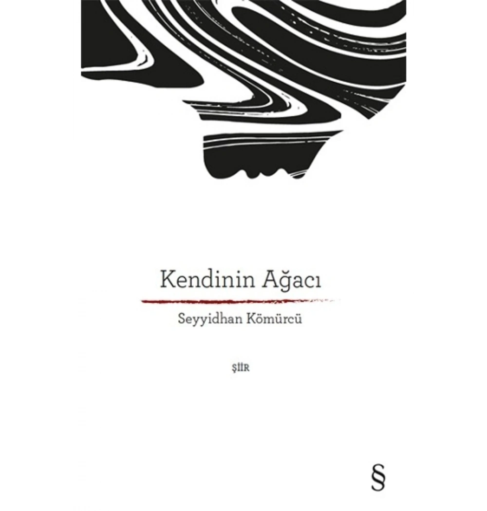 Kendinin Ağacı Seyyidhan Kömürcü Everest