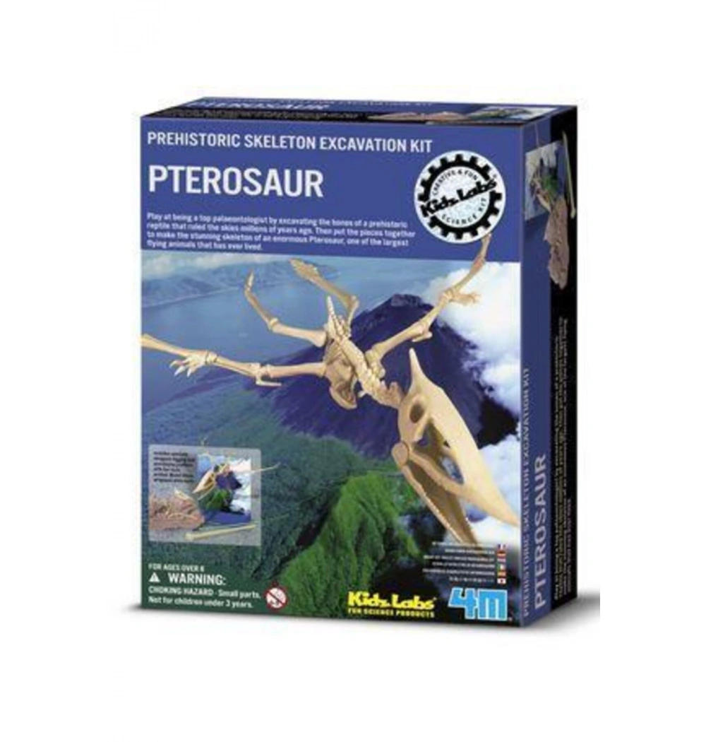 4M 13238 Pterosaur Skeleton Excavatıon