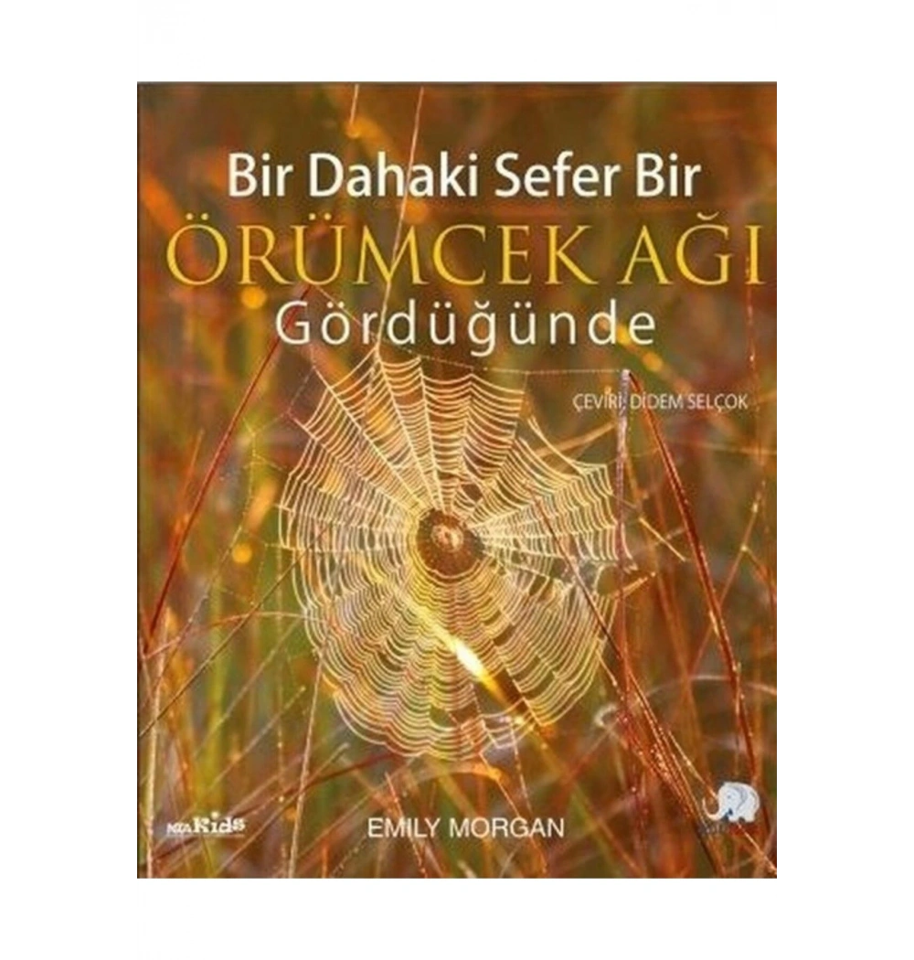 Bir Dahaki Sefer Bir Örümcek Ağı Gördüğünde