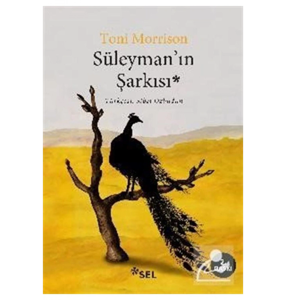 Süleymanın Şarkısı Toni Morrison Sel