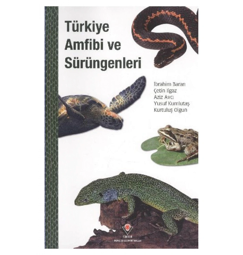 Türkiye Amfibi Ve Sürüngenleri     Tübi