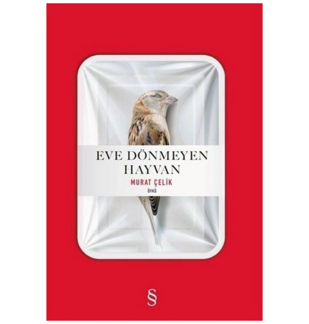 Eve Dönmeyen Hayvan Murat Çelik  Everest