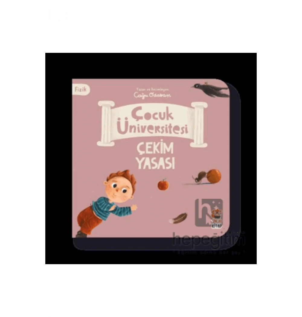 Çocuk Üniversitesi Çekim Yasası  Sincap Kitap