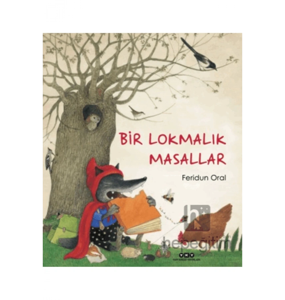 Bir Lokmalık Masalar   Feridun Oral  Yky