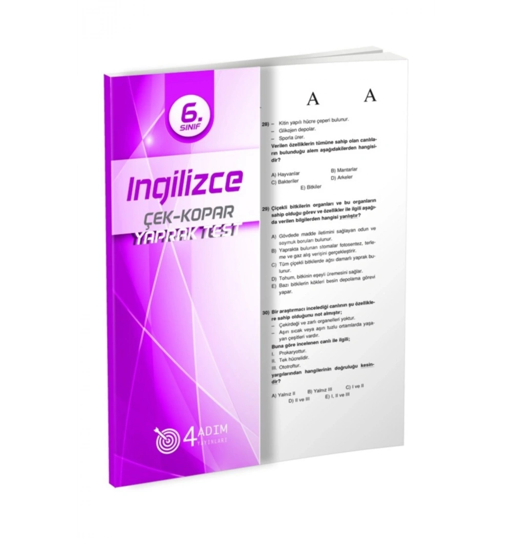 6. Sınıf İngilizce Yaprak Test 4 Adım