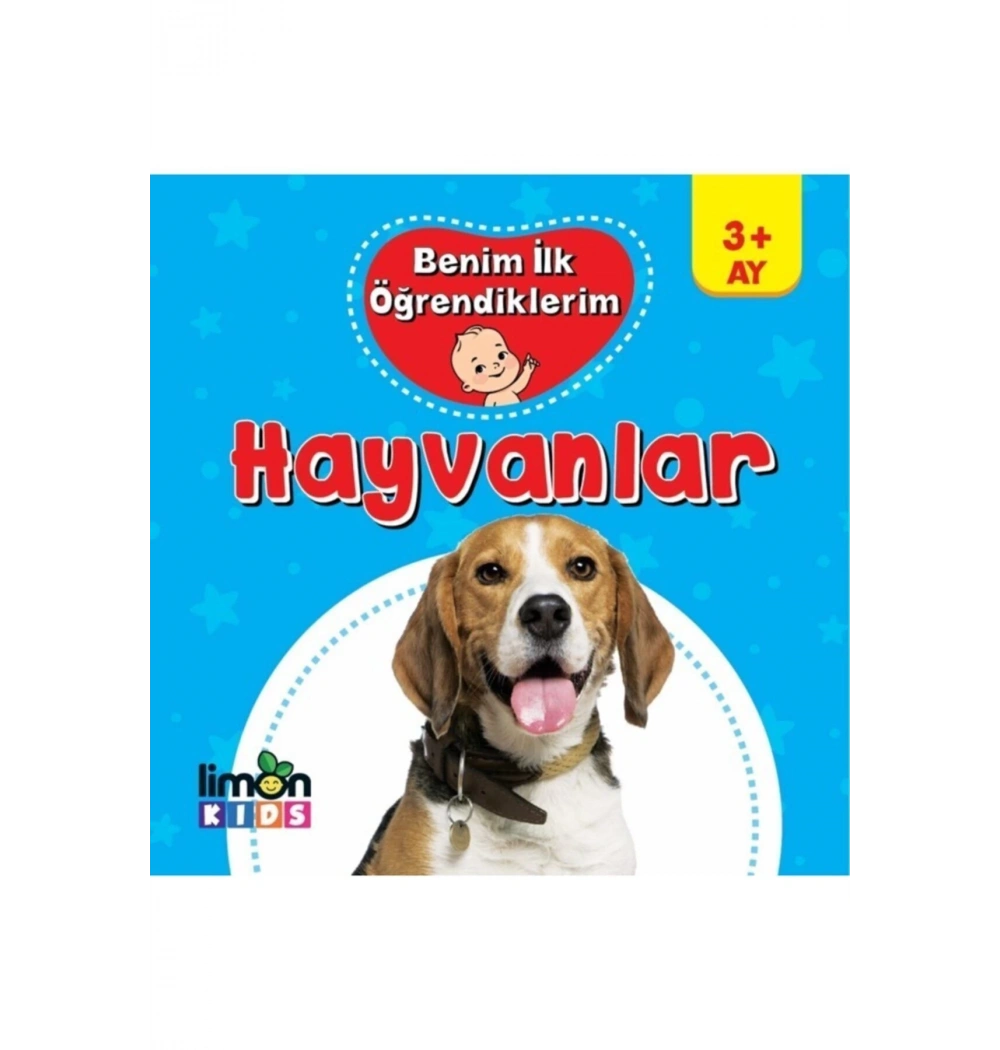 Benim İlk Öğrendiklerim Hayvanlar 3+Yaş Cep Boy