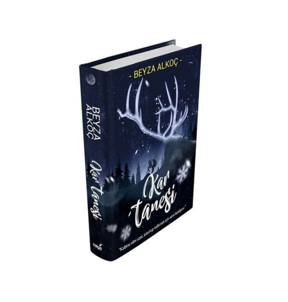 Kar Tanesi Ciltli Beyza Alkoç İndigo