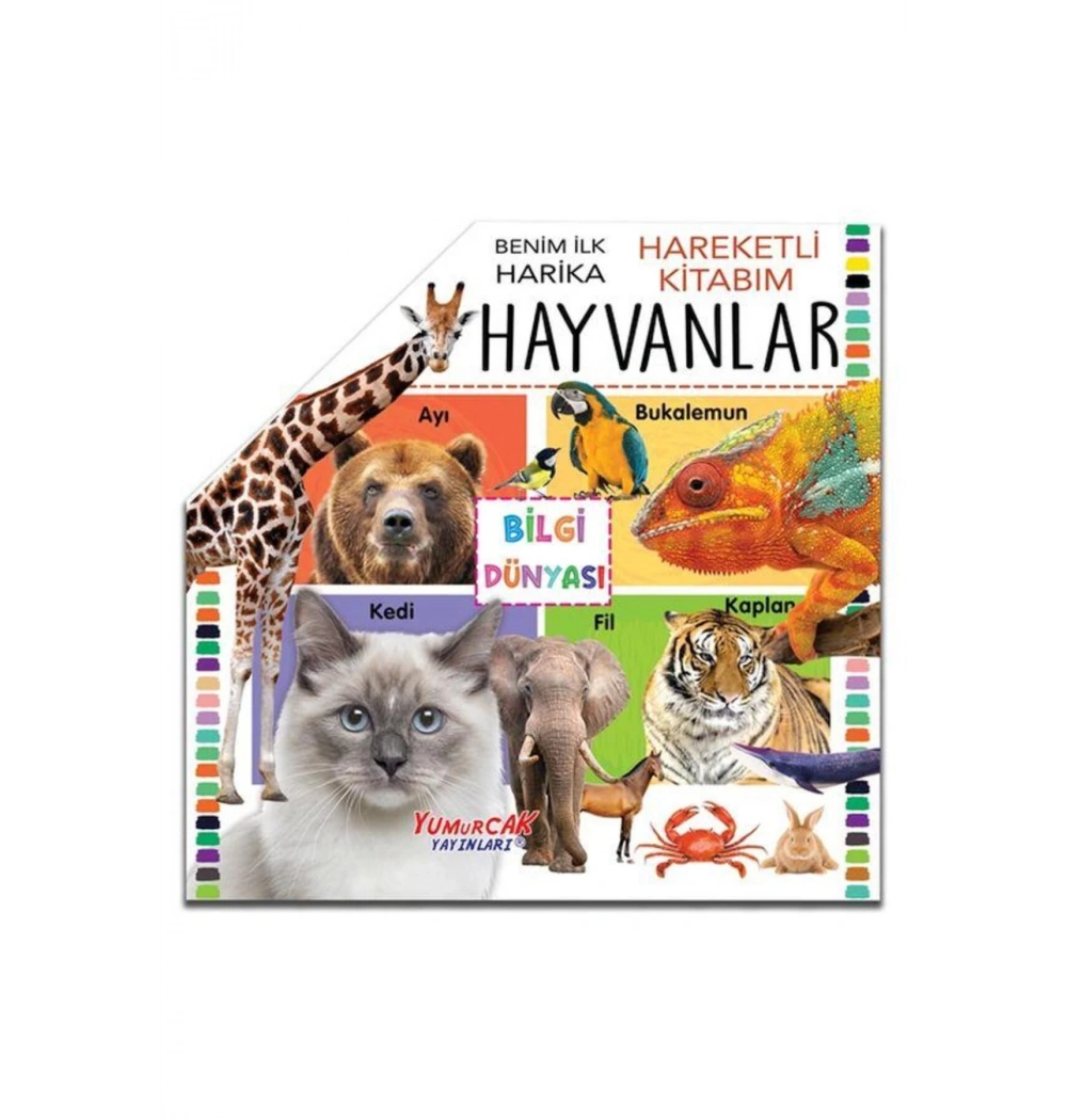 Benim İlk Harika Hayvanlarım Hareketli Kitap  Yumurcak