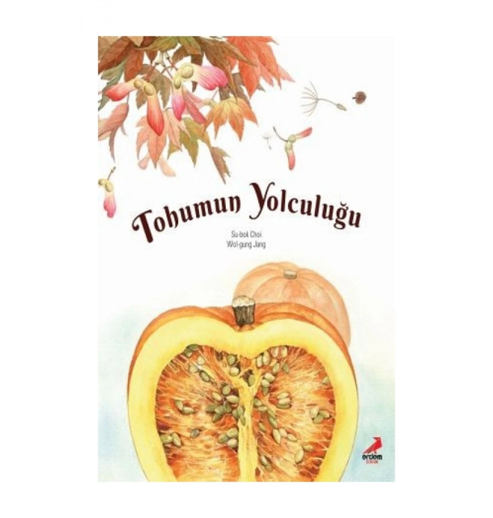 Tohumun Yolculuğu   Erdem