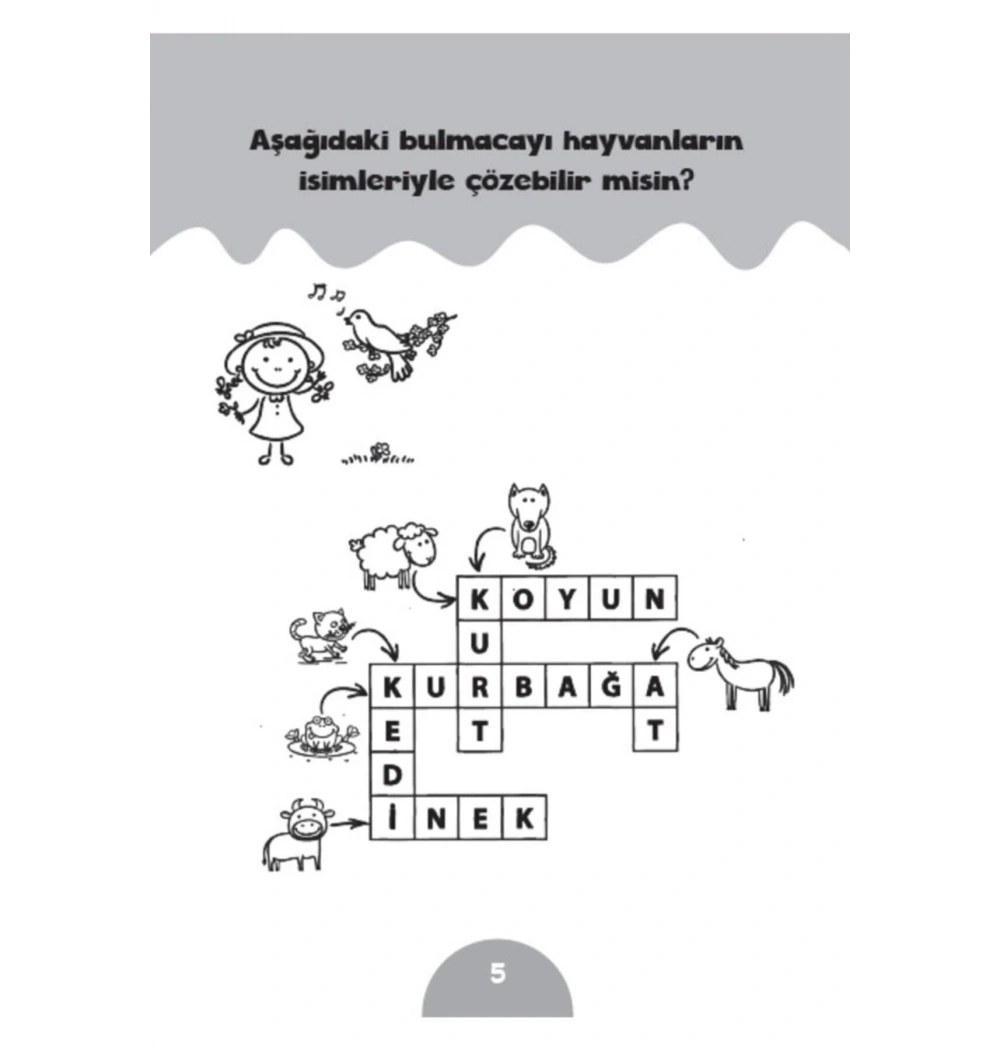 Zeka Geliştiren Pembe Aktivite Kitabım Sancak