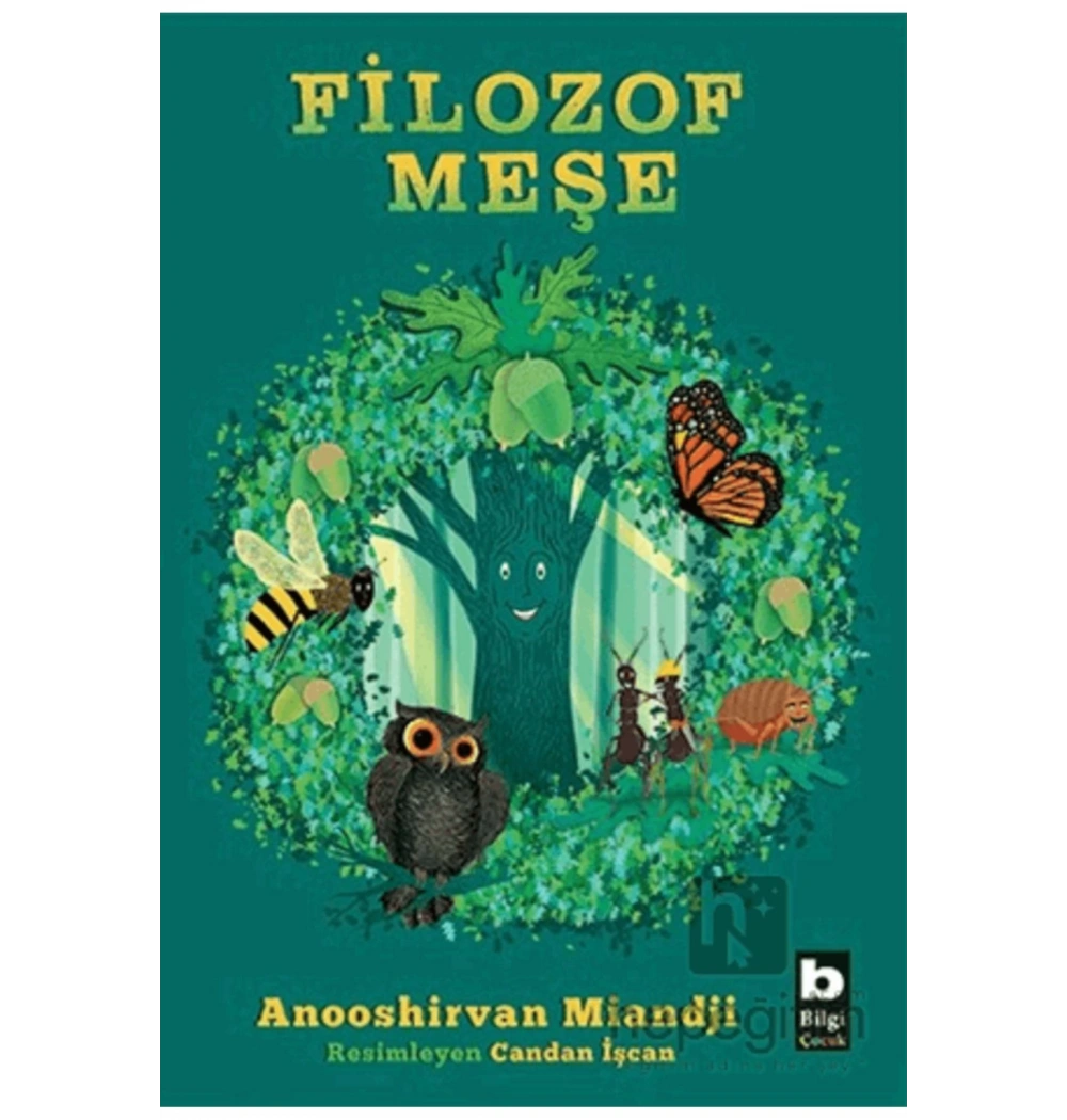 Filozof Meşe   Bilgi Çocuk
