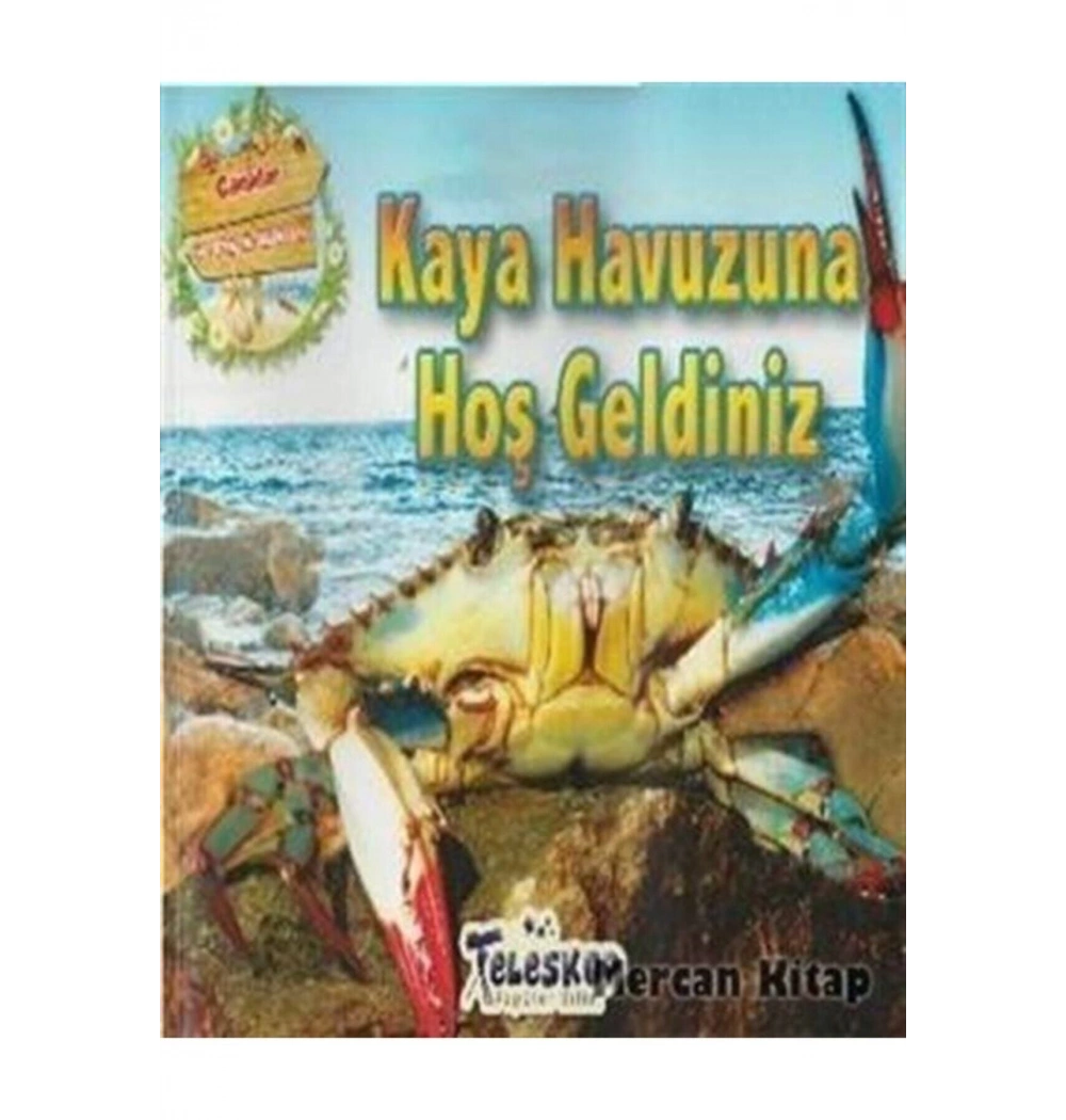Kaya Havuzuna Hoş Geldiniz  Teleskop