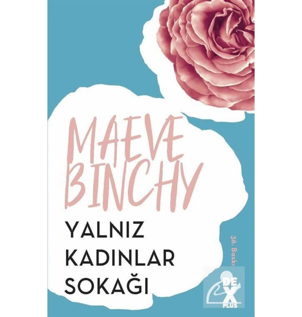 Yalnız Kadınlar Sokağı  Maeve Bınchy   Dex